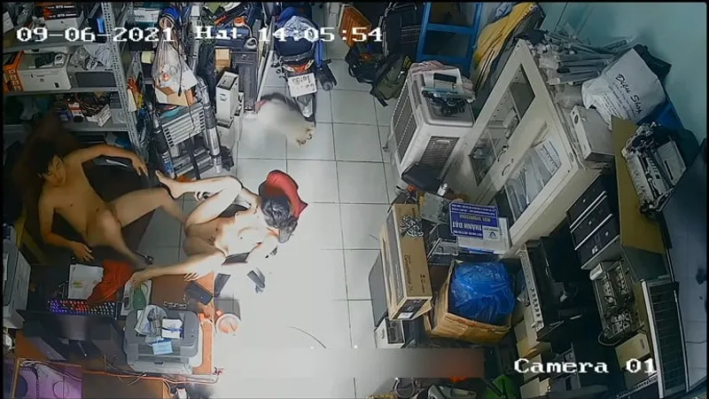 Cô vợ gã chồng vụng trộm trong của hàng máy tính